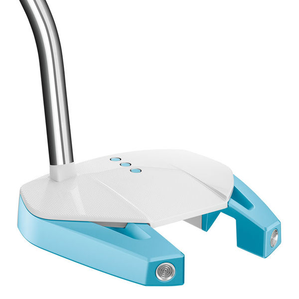 Compare prices on TaylorMade Ladies Spider GT S/B White/Blue Golf Putter
