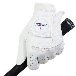 Compare prices on All Golf Gloves
